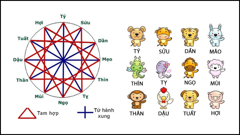 Tam hợp, tứ hành xung trong 12 con giáp